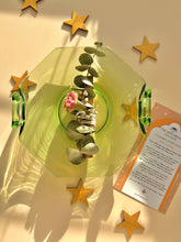 Load image into Gallery viewer, PALO SANTO &amp; EUCALYPTUS Bundle - Smoke Cleansing
